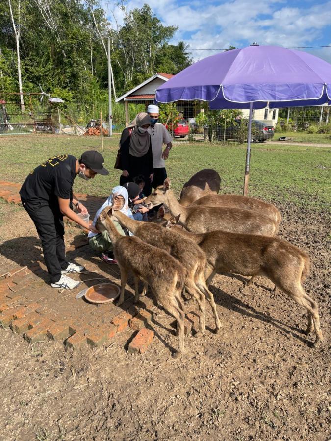 Branda Kampung Sumpitan Lenggong Tiada Sungai Hotel Kampong Ulu Jepai Eksteriør billede