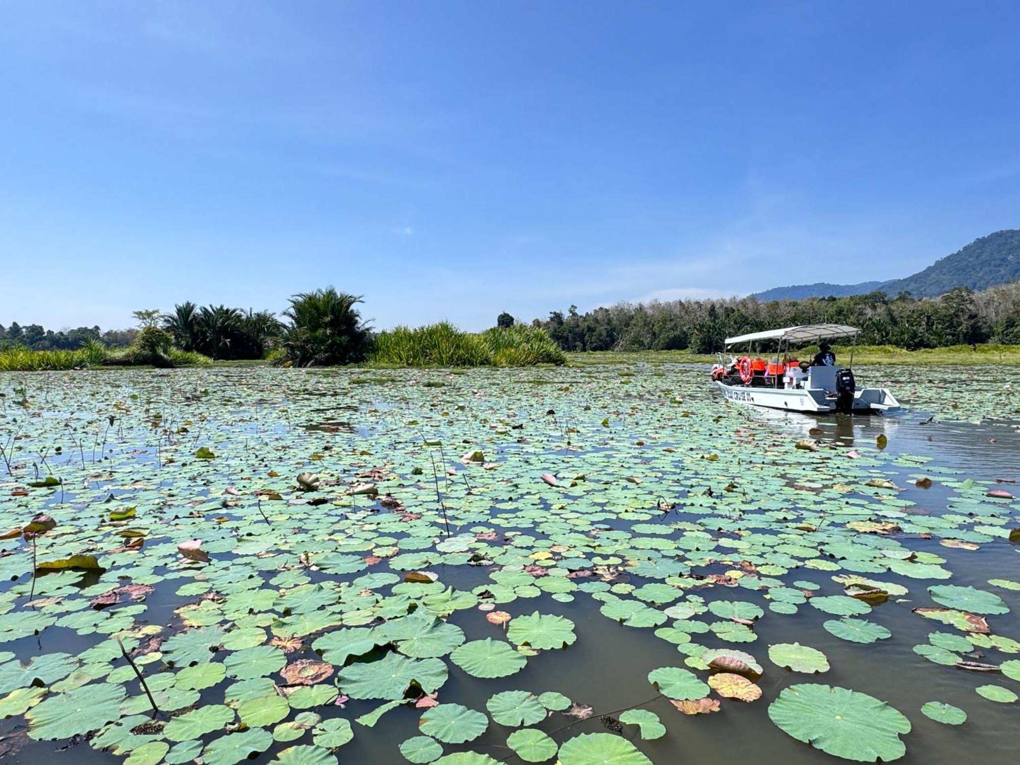 Branda Kampung Sumpitan Lenggong Tiada Sungai Hotel Kampong Ulu Jepai Eksteriør billede