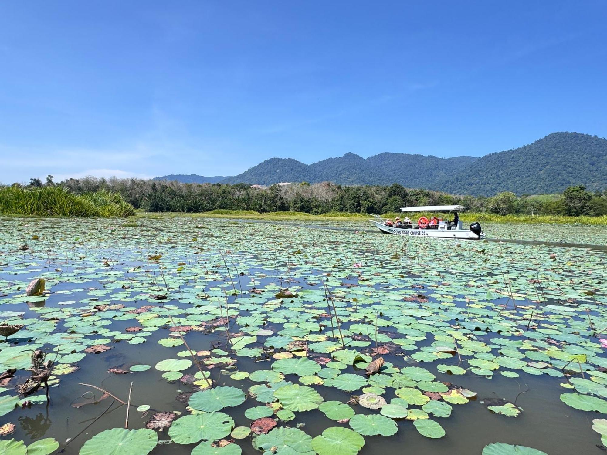 Branda Kampung Sumpitan Lenggong Tiada Sungai Hotel Kampong Ulu Jepai Eksteriør billede
